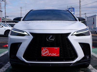 LEXUS NX - 2