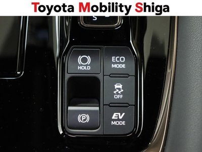 2025 Toyota ALPHARD 缩略图 28
