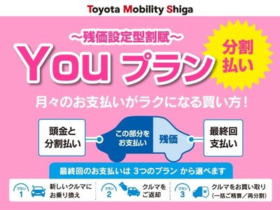 2025 Toyota ALPHARD 缩略图 39