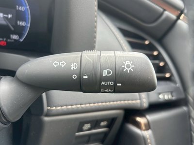 صورة مصغرة 15 لـ 2025 TOYOTA ALPHARD