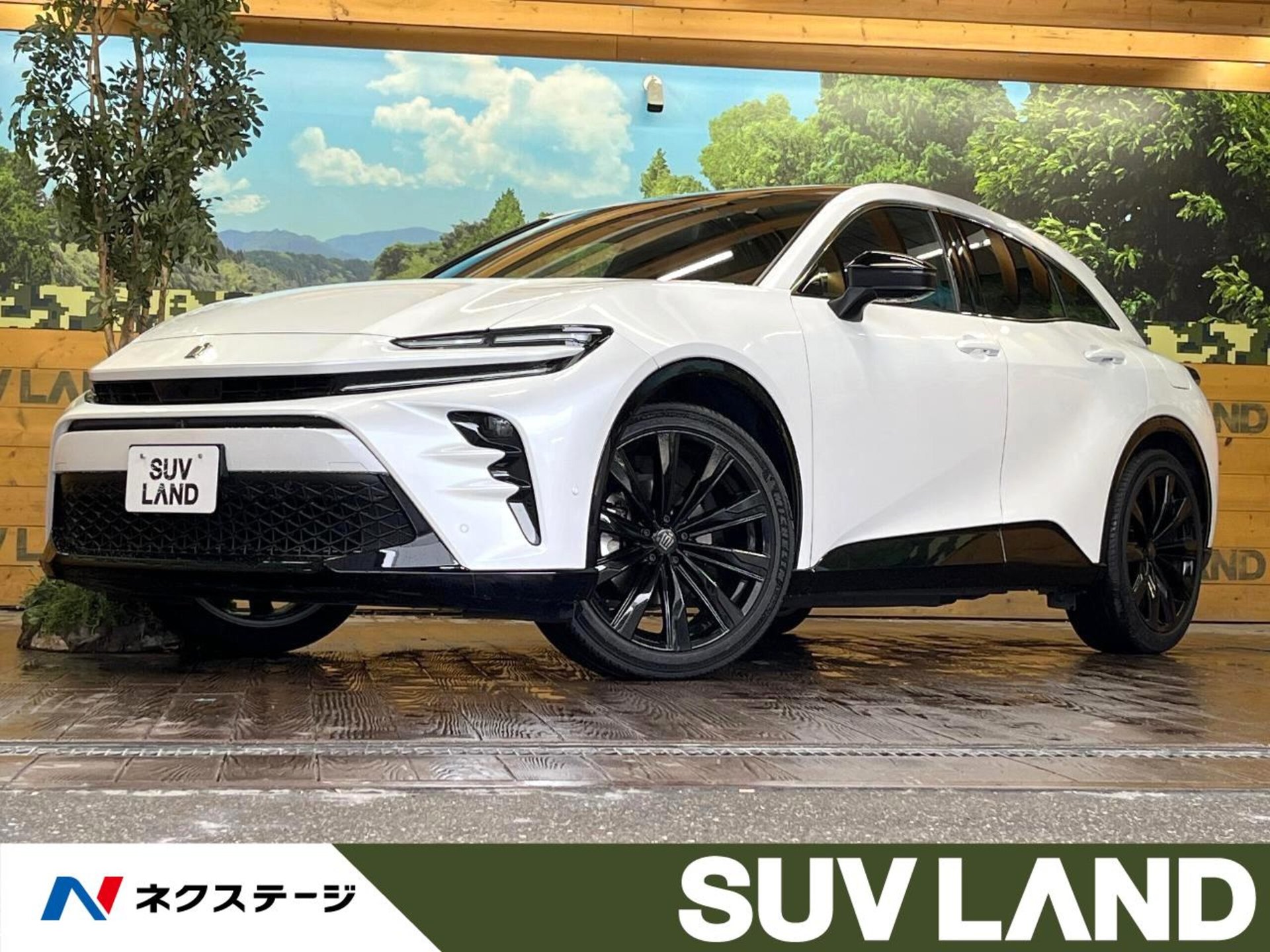 TOYOTA CROWN SPORT - View 1