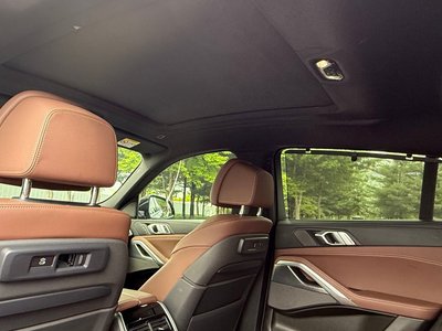 2020 BMW X6 — миниатюра 12