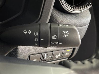 TOYOTA LAND CRUISER 250 - 9