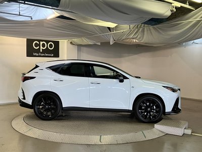 2024 Lexus NX thumbnail 12