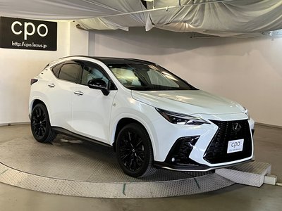 2024 Lexus NX thumbnail 13