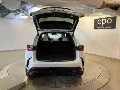 2024 Lexus NX thumbnail 30