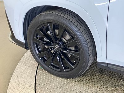 2024 Lexus NX thumbnail 15