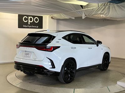 2024 Lexus NX thumbnail 11