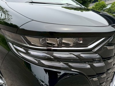 2025 TOYOTA ALPHARD 缩略图 14