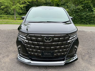 2025 TOYOTA ALPHARD 缩略图 22