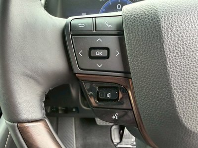 2025 TOYOTA ALPHARD 缩略图 45