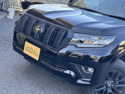 TOYOTA LAND CRUISER PRADO - 5