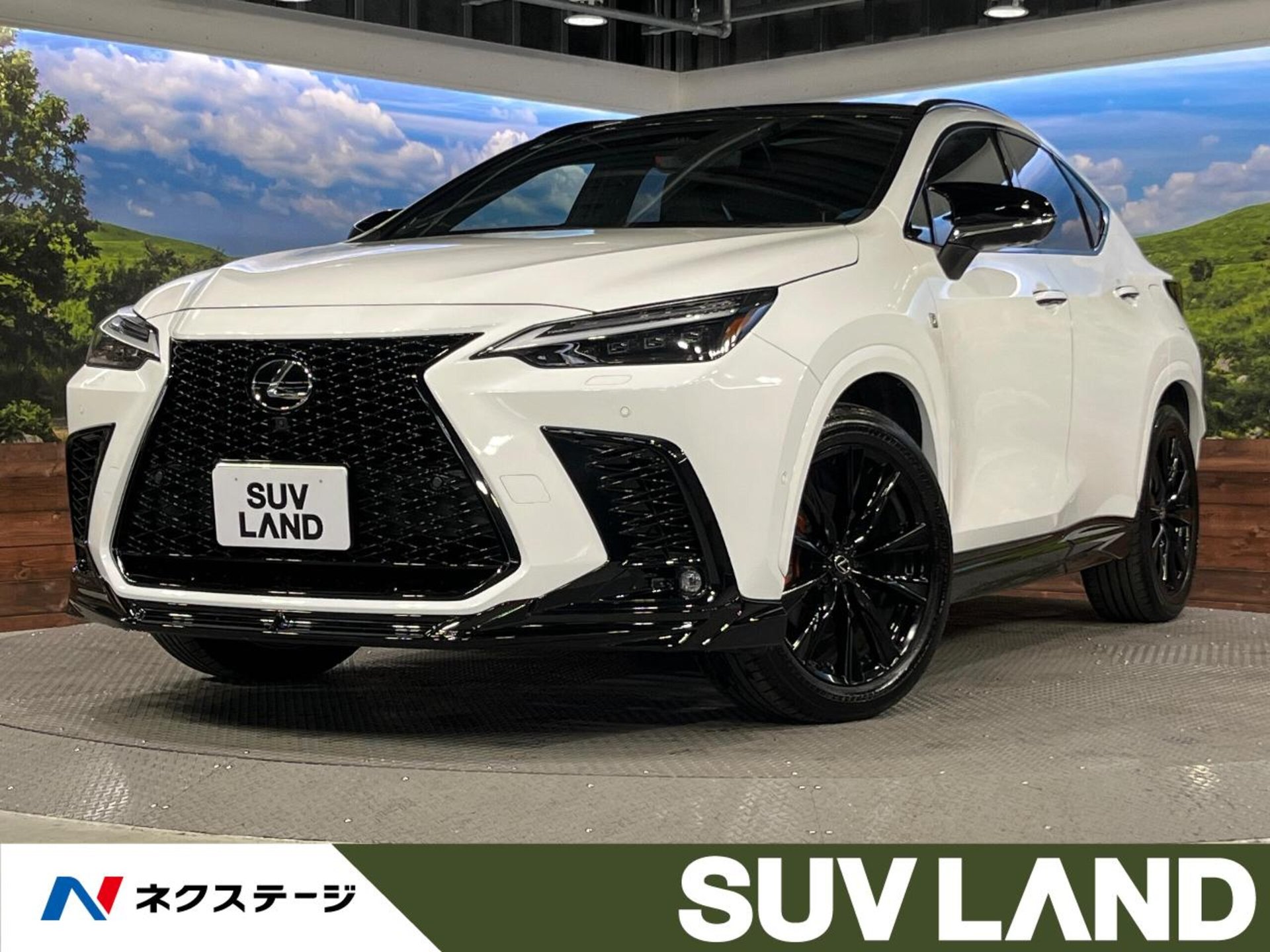 LEXUS NX - View 1
