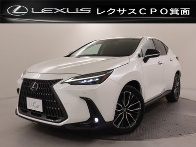 2022 Lexus NX — фото 1