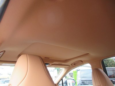 2025 Lexus NX — миниатюра 16