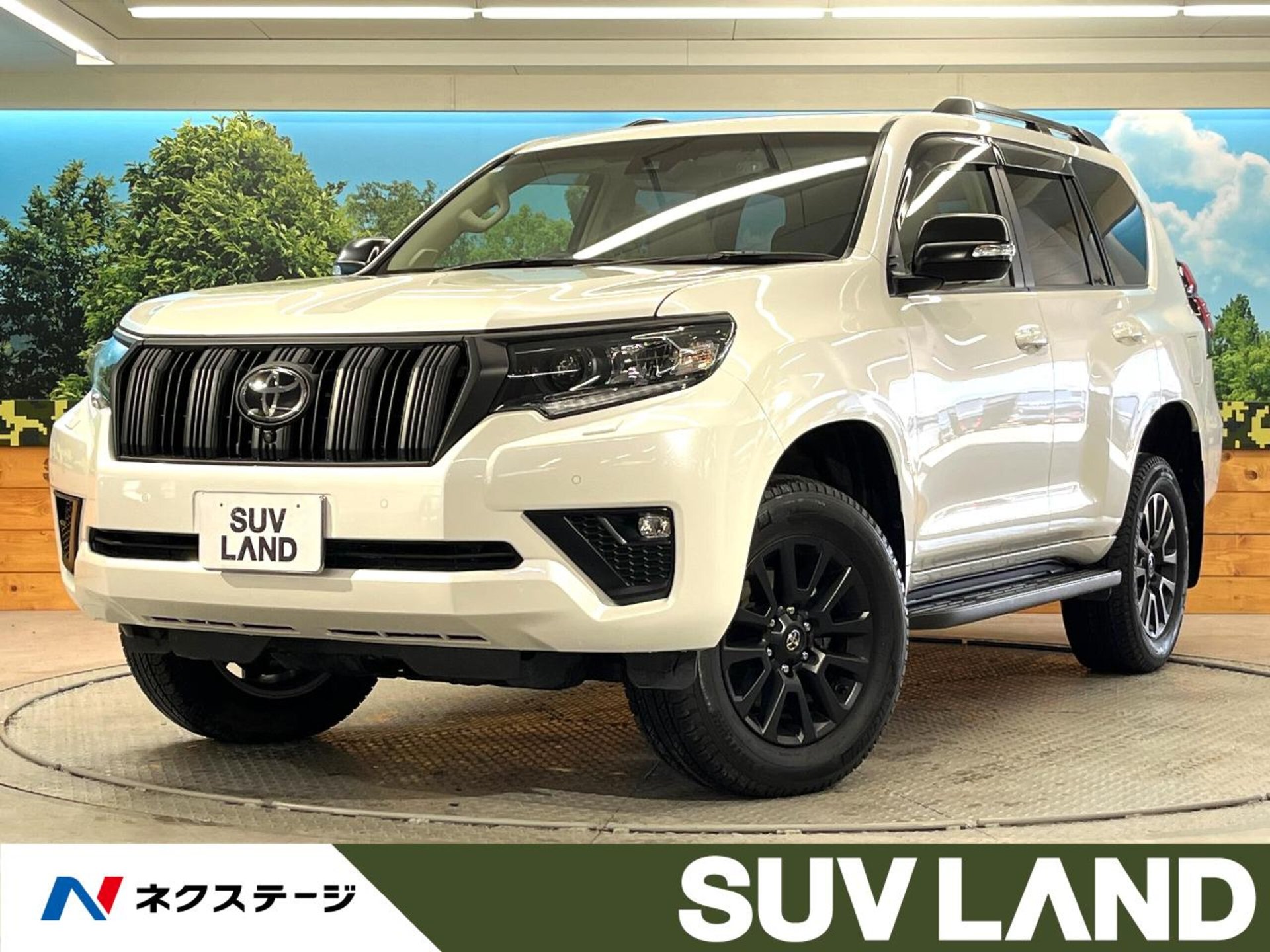 TOYOTA LAND CRUISER PRADO - View 1