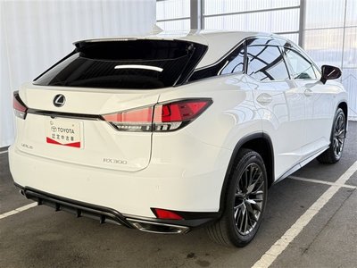 LEXUS RX - 6