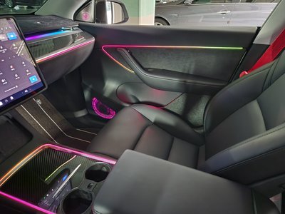 2022 Tesla MODEL Y thumbnail 12