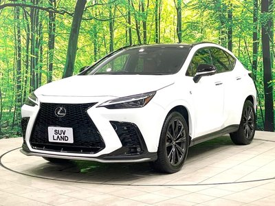 صورة مصغرة 34 لـ 2022 Lexus NX
