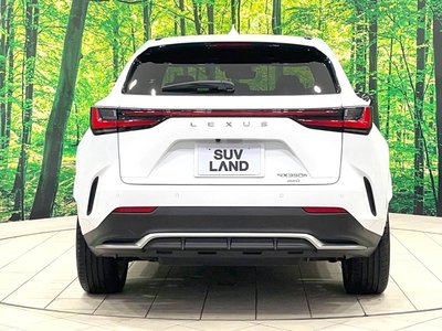 صورة مصغرة 15 لـ 2022 Lexus NX