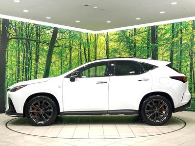 صورة مصغرة 35 لـ 2022 Lexus NX