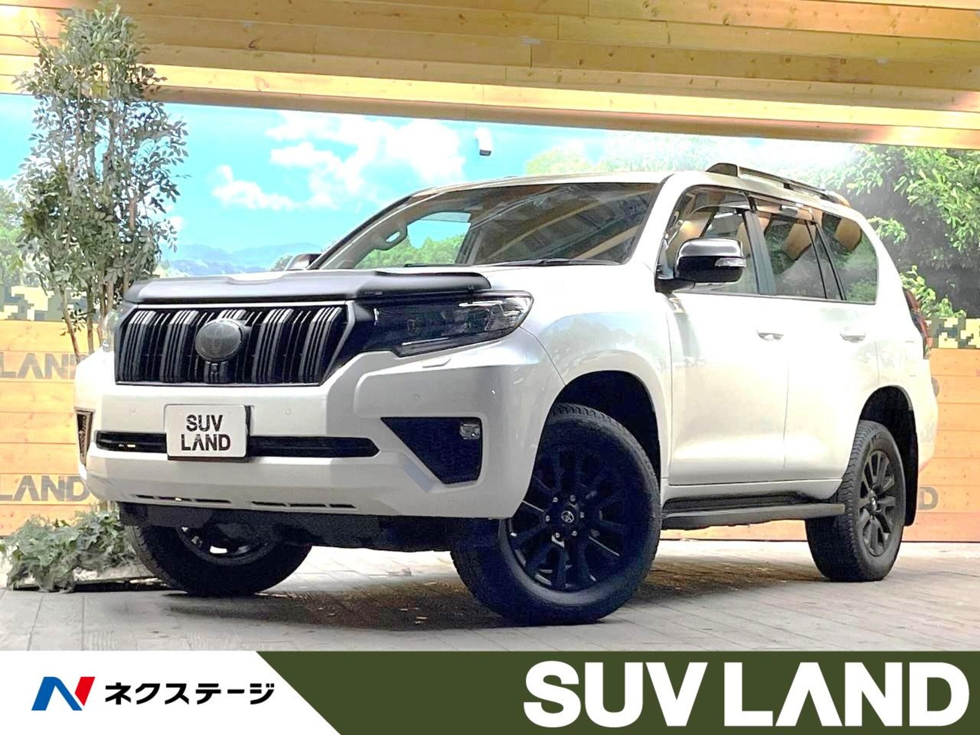 TOYOTA LAND CRUISER PRADO - View 1