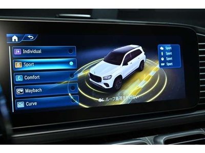 2025 Mercedes-BENZ GLS thumbnail 60