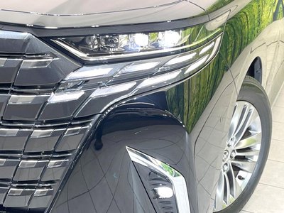 2025 TOYOTA ALPHARD 缩略图 13