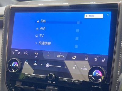 2025 TOYOTA ALPHARD 缩略图 22