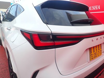 2025 Lexus NX — миниатюра 19
