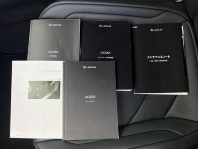صورة مصغرة 31 لـ 2025 Lexus UX