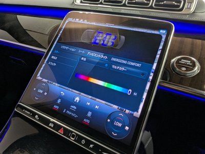 2021 Mercedes-BENZ S-CLASS thumbnail 33