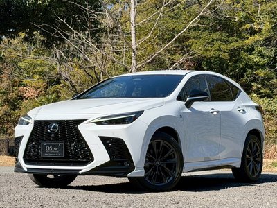 LEXUS NX - 1