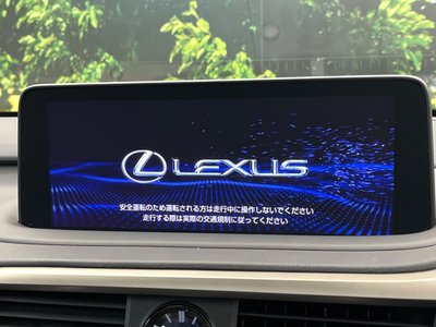LEXUS RX - 4