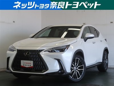 LEXUS NX - 1