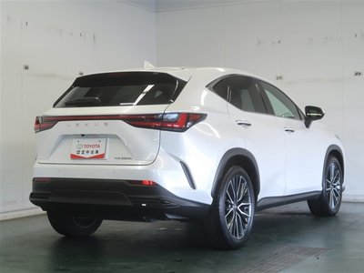 LEXUS NX - 6