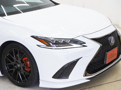 2020 Lexus ES 缩略图 51