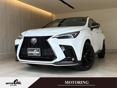 LEXUS NX - 1