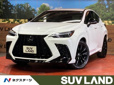 LEXUS NX - 1