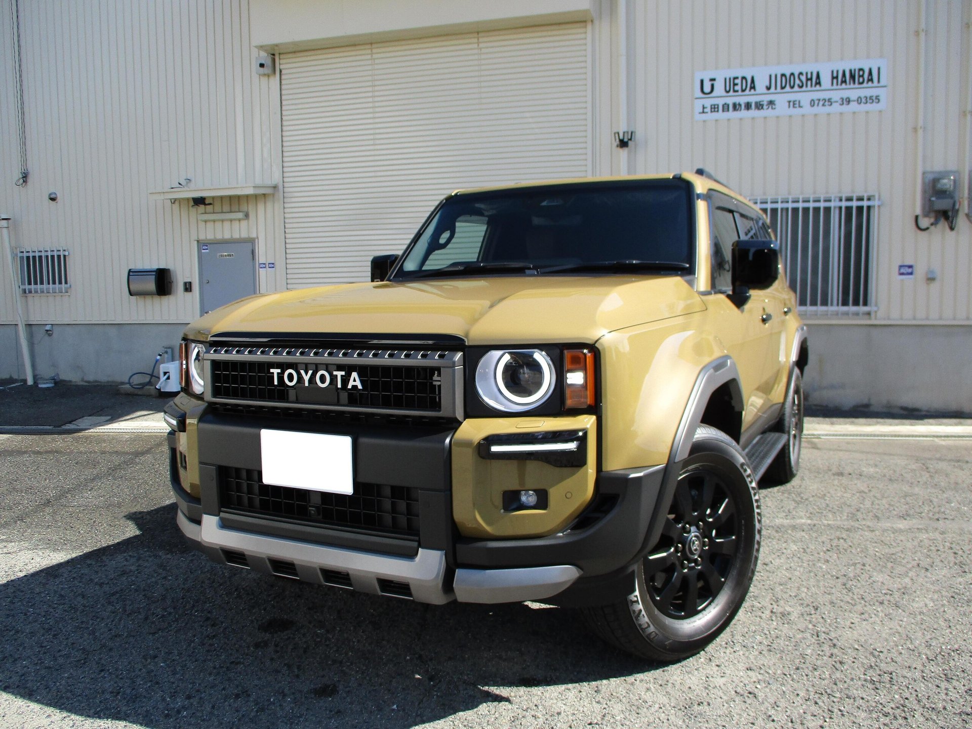 TOYOTA LAND CRUISER 250 - View 1