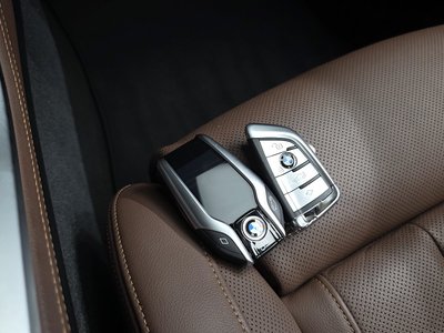 2019 BMW X5 thumbnail 22