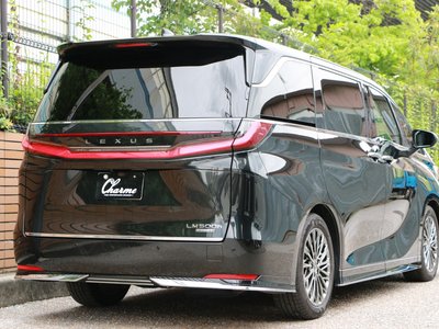 2024 Lexus LM 照片 5