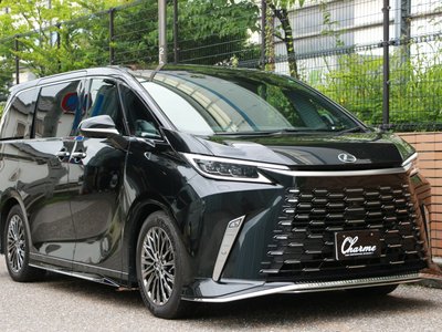 2024 Lexus LM 照片 7