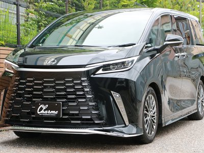 2024 Lexus LM 照片 1