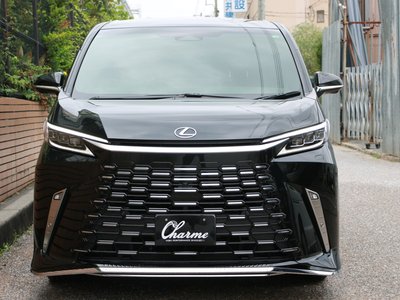 2024 Lexus LM 照片 8