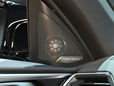 2023 BMW M4 CABRIOLET 缩略图 50