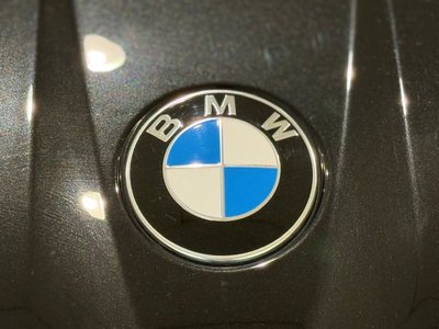 صورة مصغرة 59 لـ 2025 BMW X3