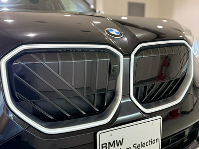 صورة مصغرة 58 لـ 2025 BMW X3