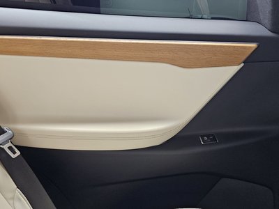 2020 Tesla MODEL X — миниатюра 15