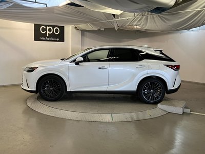 LEXUS RX - 6